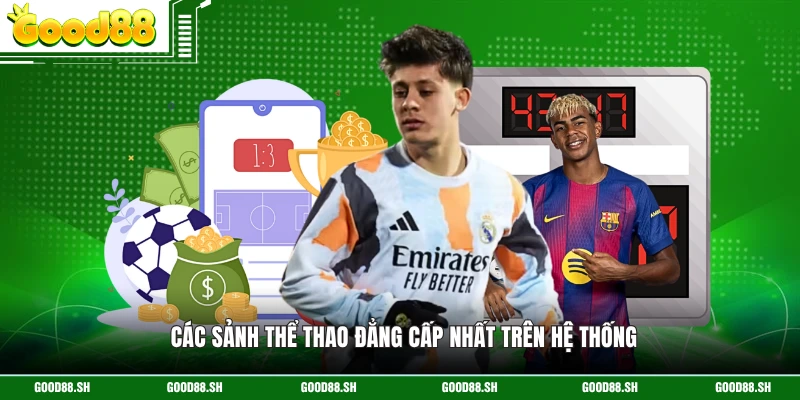 Các sảnh thể thao đẳng cấp nhất trên hệ thống 