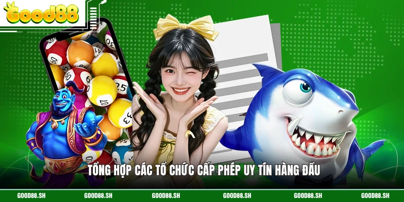 Tổng hợp các tổ chức cấp phép uy tín hàng đầu